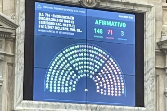 Diputados sancioná y gira al Senado la emergencia en discapacidad