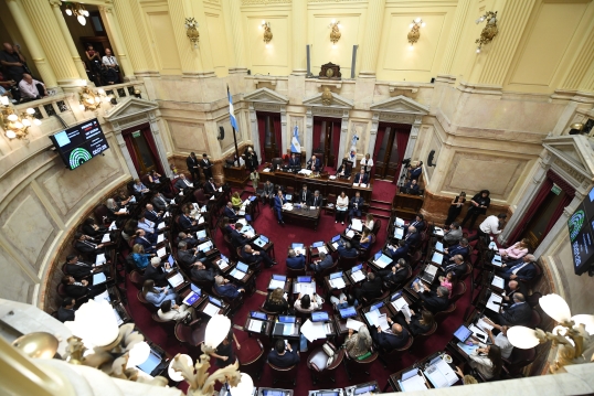 Cámara de senadores: El Gobierno busca aprobar el presupuesto 2026