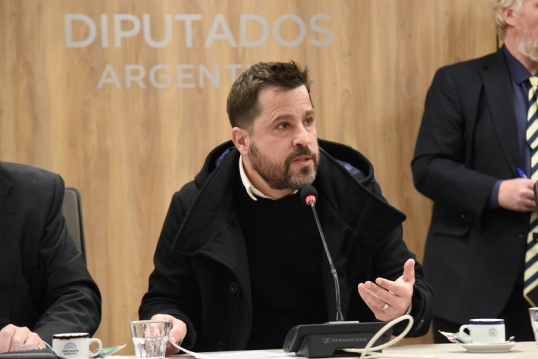 En comisión diputados comenzará a tratar la reforma sindical