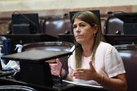 “El Gobierno tiene una postura de que el que piensa como ellos, tiene una representación ilegítima” señala Tagliaferri
