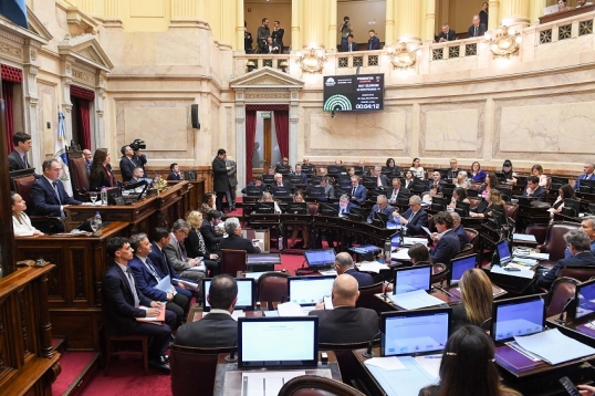 Otra derrota del Gobierno en el Congreso: El Senado rechazó el veto a los ATN
