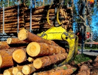 La forestoindustria acusa al Gobierno Nacional por la pérdida de competitividad regional