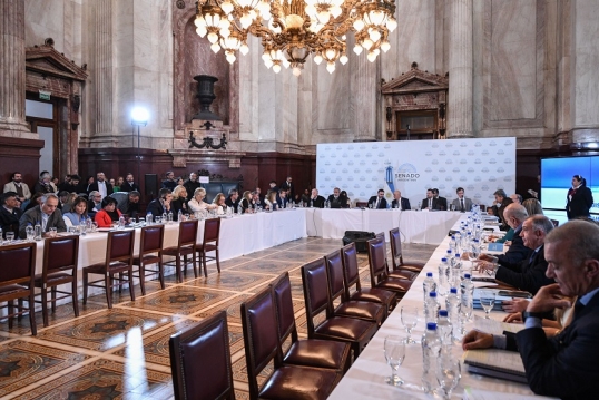 Ley de Bases: Los cambios que aceptó el Gobierno para destrabar el proyecto en el Senado y obtener dictamen