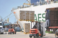 Las exportaciones de manzanas cayeron un 46% interanual durante junio