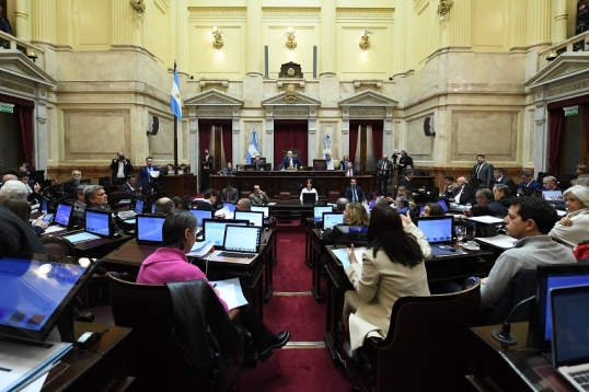 La Cámara de Senadores ratificó la Ley de Emergencia en Discapacidad y se cayó el veto de Milei