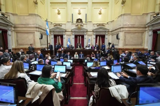 La Cámara de senadores debate la suspensión de las PASO