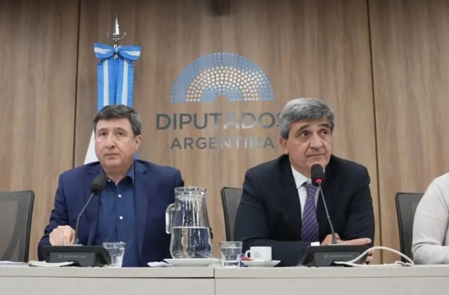 Diputados, coimas en ANDIS: Mario Lugones y Alejandro Vilches no asistieron a la comisión de Salud