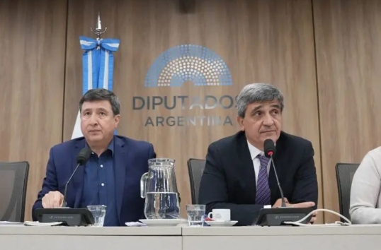 Diputados, coimas en ANDIS: Mario Lugones y Alejandro Vilches no asistieron a la comisión de Salud