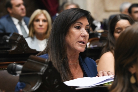 El Oficialismo en Diputados aprobó bajar la imputabilidad de 16 a 14 años