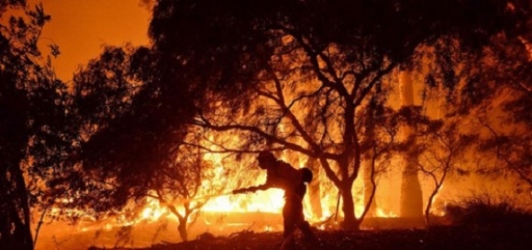 Estados Unidos: Incendios forestales causan estragos en el oeste del país