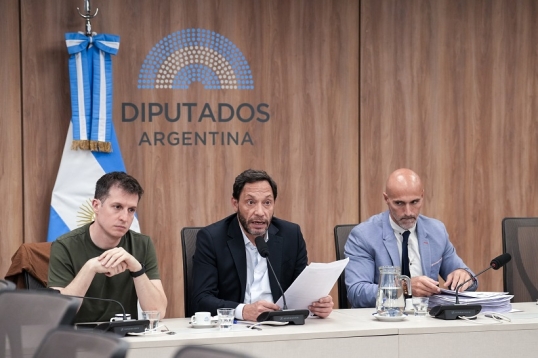 Comisión $LIBRA: Diputados apelan resolución judicial que impidió traer a funcionarios por la fuerza pública