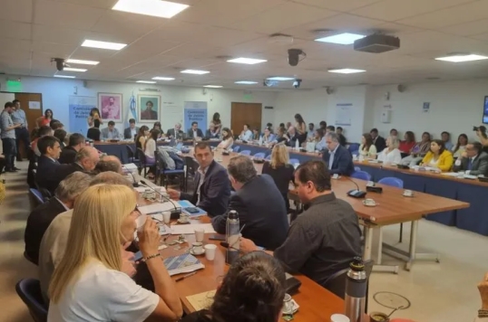 Diputados: En comisión comienzan a tratar la eliminación de las PASO