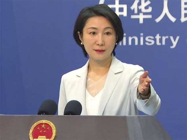 Los BRICS son «la primera línea del Sur Global» señaló China