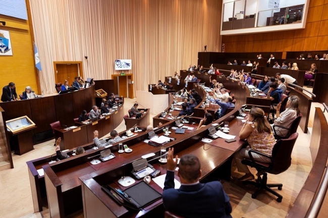 Neuquén: La Legislatura repudio por unanimidad los “dichos violentos y antidemocráticos del presidente Javier Milei”