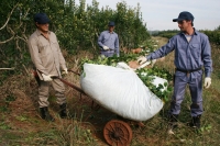 Los Productores Agrarios de Misiones piden la renuncia del presidente del INYM