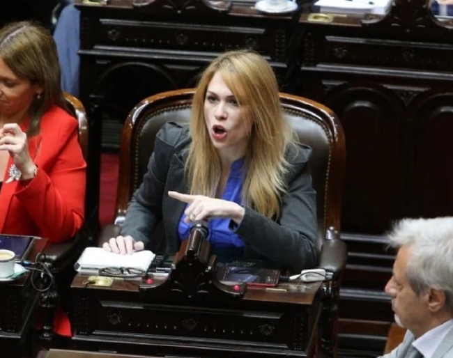 Lemoine dice que Victoria Villarruel: «Se comporta como la casta»