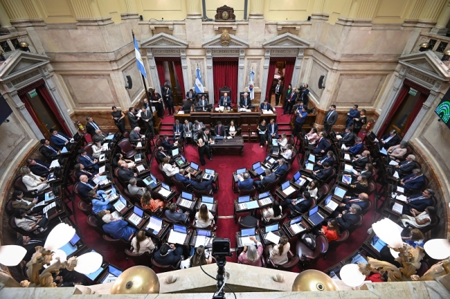El Senado debatirá el proyecto de propiedad privada