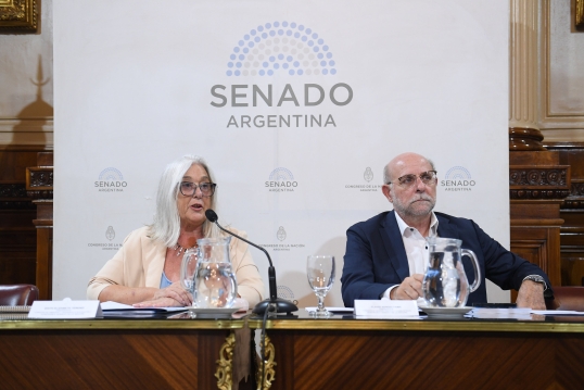 El Senado aprobó en comisión dictamen para adecuar la ley de Glaciares y el debate pasó al 10 de febrero
