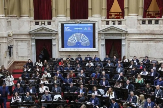 La Cámara está sesionando para tratar los vetos del presidente Javier Milei