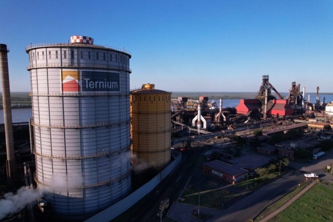 Despiden cerca de 80 trabajadores de una contratista de Ternium en Ramallo