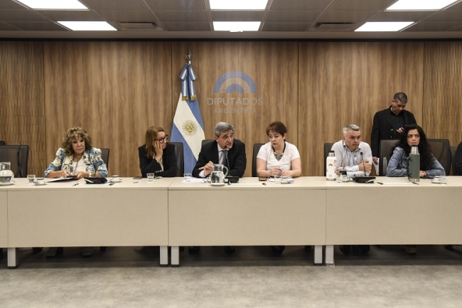 La Comisión de Salud de Diputados citó al ministro Mario Lugones, y al titular del PAMI, Esteban Leguizamo