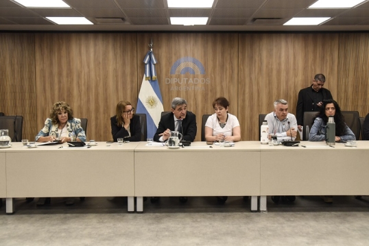 La Comisión de Salud de Diputados citó al ministro Mario Lugones, y al titular del PAMI, Esteban Leguizamo