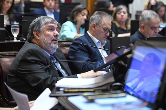En el Senado la oposición buscará firmar dictámenes de universidades y Garrahan