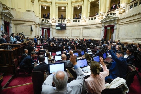 Todos los senadores que no votaron la expulsión de Edgardo Kueider