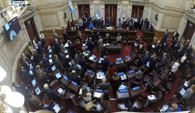 El Senado debatirá este jueves el rechazo del veto a Discapacidad y reforma de los DNU