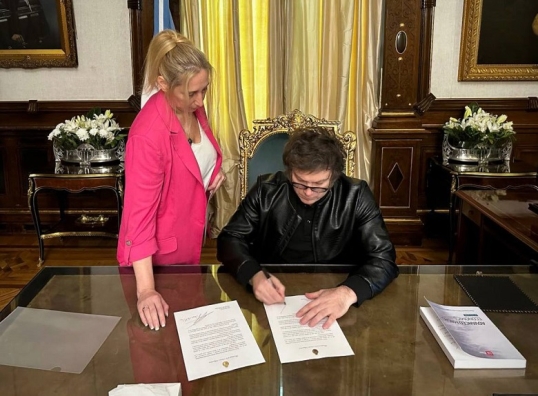 El Gobierno de Javier Milei vetó en su totalidad la Ley de Emergencia Pediátrica