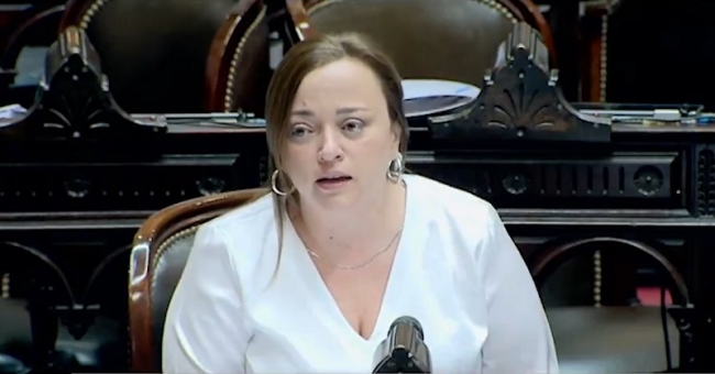 Cecilia Moreau: «Anhelo que hagamos un frente parlamentario que ponga un límite a los excesos del Gobierno»