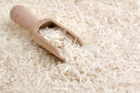 ANMAT fija nuevos límites de arsénico en el arroz y sus derivados