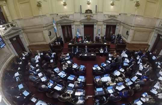 El Senado trata los vetos de Milei al financiamiento universitario y de emergencia en salud pediátrica