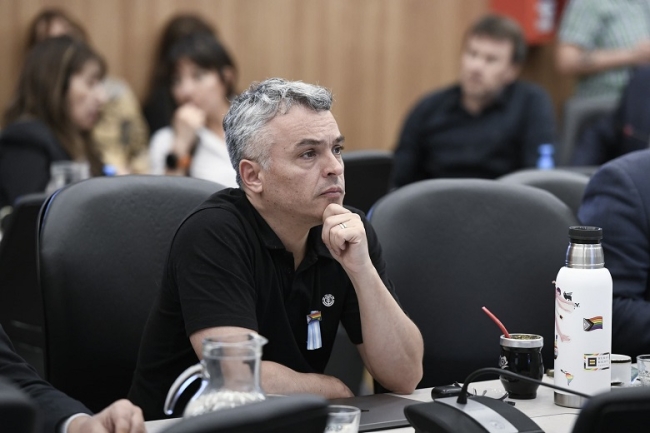 “Adorni confesó delitos al decir que su esposa viajó en el avión presidencial” señaló Esteban Paulón
