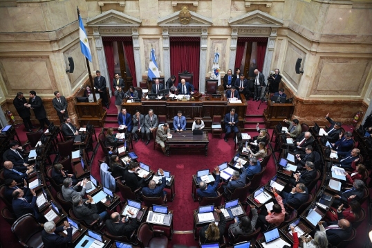 El Senado tratará las leyes de financiamiento universitario y de emergencia en salud pediátrica