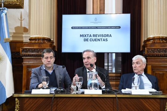 El Congreso solicita a la AGN profundizar la auditoría en la ANDIS