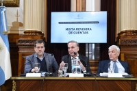 El Congreso solicita a la AGN profundizar la auditoría en la ANDIS