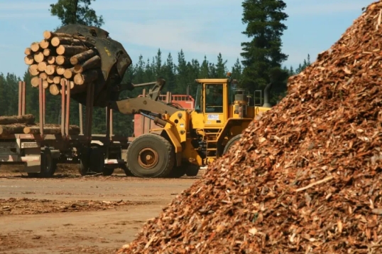 Corrientes: La Forestadora Tapebicuá paró su producción y dejó a 520 operarios cesantes