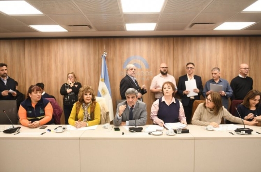 Diputados dictaminó la emergencia por el hospital Garrahan