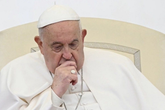 Francisco pidió perdón por los errores que cometieron algunos sacerdotes
