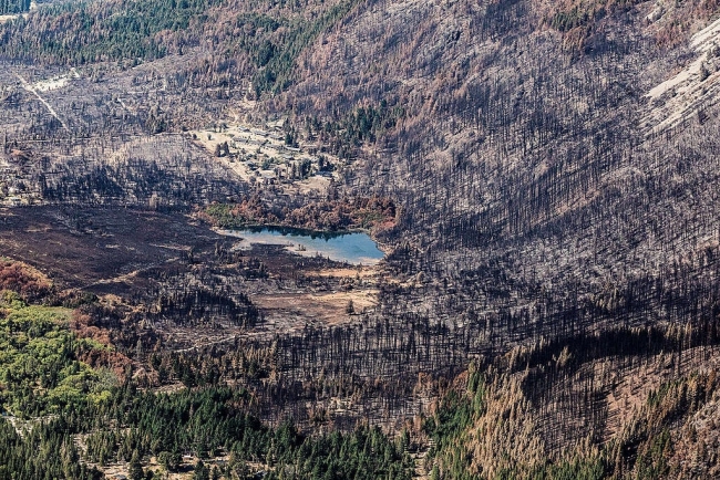 Greenpeace sobrevoló las zonas incendiadas y reflejó la magnitud de la incalculable pérdida de bosque nativo