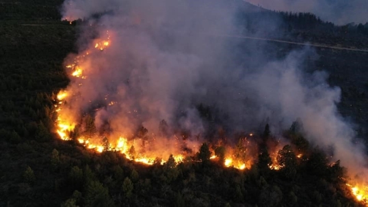 El Bolsón: Por los incendios falleció un hombre