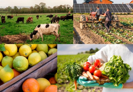 La inflación mayorista subió un 3,7% en septiembre