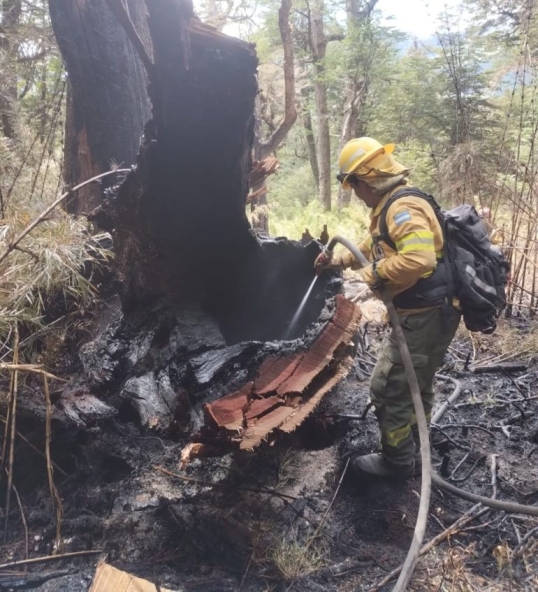 Parque Nacional Nahuel Huapi: El fuego arrasó hasta el momento casi 6450 héctareas de bosques