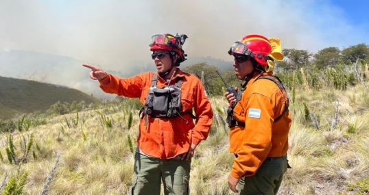 Neuquén: El incendio en el Parque Nacional Lanín ya afectó más de 2.600 hectáreas