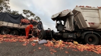 Un choque de camiones causó un muerto y obligó a cerrar la ruta 9 a la altura de Baradero y Zárate