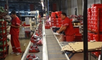 La Rioja: Despiden a trabajadores de la fábrica de zapatillas Puma