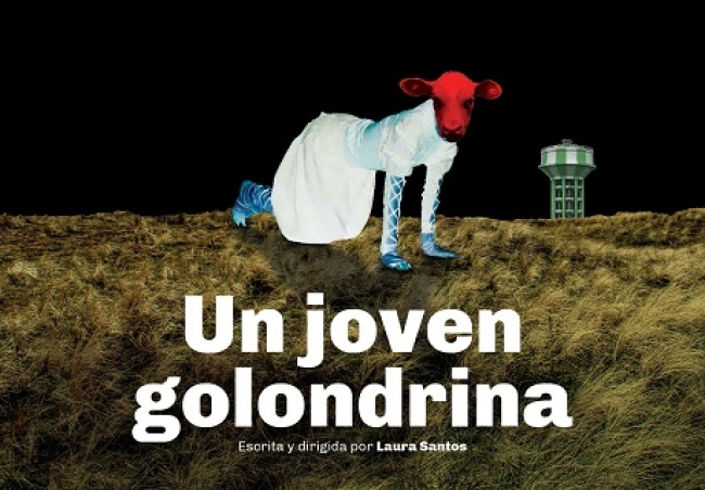 Estrena Un joven golondrina en el Teatro Nacional Cervantes