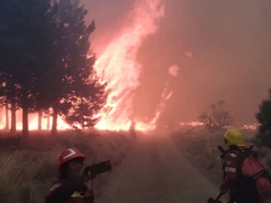 Chubut: El incendio en el Parque Nacional Los Alerces ya consumió 320 hectáreas