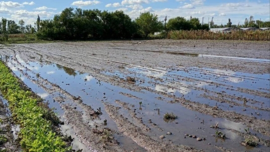 El Gobierno bonaerense declaró la emergencia y desastre agropecuario individual en Villarino